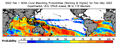 Current Bleaching Heat Stress Outlook Probability - Warning and higher