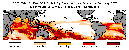 Bleaching Outlook - 60% probability