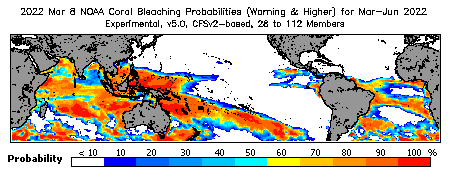 Current Bleaching Heat Stress Outlook Probability - Warning and higher