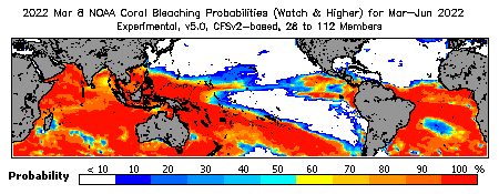 Current Bleaching Heat Stress Outlook Probability - Watch and higher