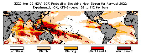 Bleaching Outlook - 60% probability