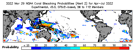 Current Bleaching Heat Stress Outlook Probability - Alert Level 2