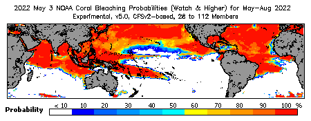 Current Bleaching Heat Stress Outlook Probability - Watch and higher