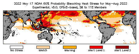 Bleaching Outlook - 60% probability