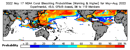 Current Bleaching Heat Stress Outlook Probability - Warning and higher