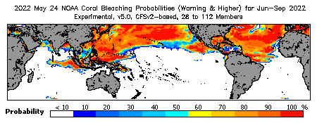 Current Bleaching Heat Stress Outlook Probability - Warning and higher