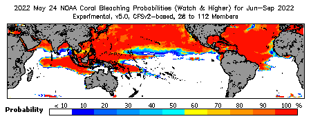 Current Bleaching Heat Stress Outlook Probability - Watch and higher