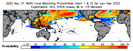 Current Bleaching Heat Stress Outlook Probability - Alert Levels 1 and 2