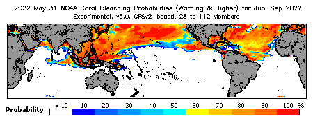 Current Bleaching Heat Stress Outlook Probability - Warning and higher