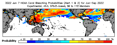 Current Bleaching Heat Stress Outlook Probability - Alert Levels 1 and 2