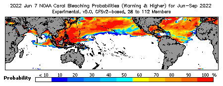 Current Bleaching Heat Stress Outlook Probability - Warning and higher