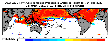 Current Bleaching Heat Stress Outlook Probability - Watch and higher