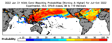 Current Bleaching Heat Stress Outlook Probability - Warning and higher