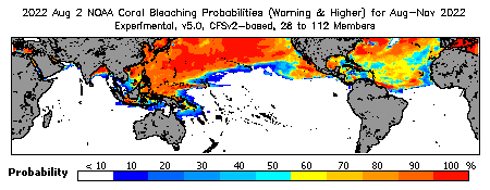 Current Bleaching Heat Stress Outlook Probability - Warning and higher