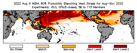 Bleaching Outlook - 60% probability