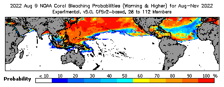 Current Bleaching Heat Stress Outlook Probability - Warning and higher