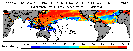 Current Bleaching Heat Stress Outlook Probability - Warning and higher