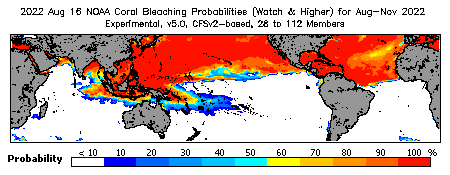 Current Bleaching Heat Stress Outlook Probability - Watch and higher