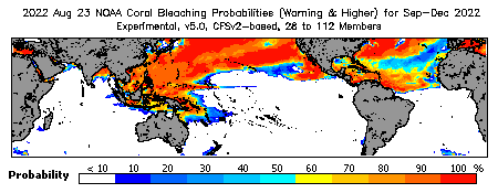 Current Bleaching Heat Stress Outlook Probability - Warning and higher