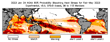 Bleaching Outlook - 60% probability