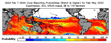 Current Bleaching Heat Stress Outlook Probability - Watch and higher