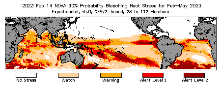 Bleaching Outlook - 60% probability