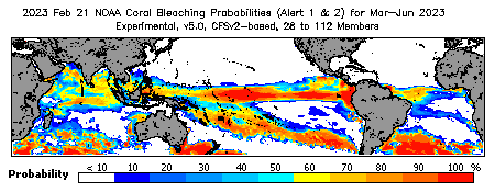 Current Bleaching Heat Stress Outlook Probability - Alert Levels 1 and 2