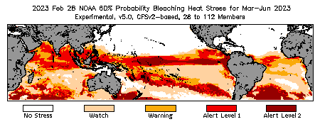 Bleaching Outlook - 60% probability