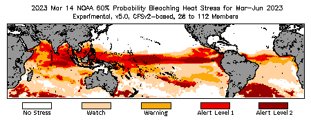 Bleaching Outlook - 60% probability