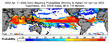 Current Bleaching Heat Stress Outlook Probability - Warning and higher