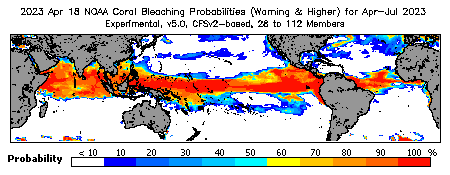 Current Bleaching Heat Stress Outlook Probability - Warning and higher