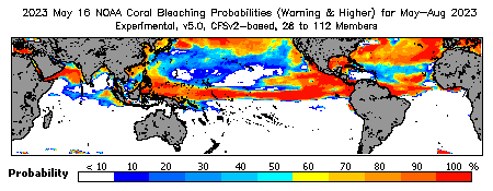 Current Bleaching Heat Stress Outlook Probability - Warning and higher