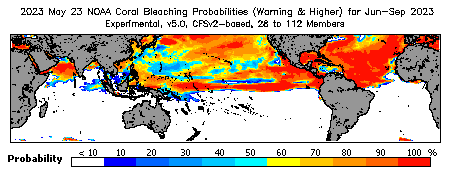 Current Bleaching Heat Stress Outlook Probability - Warning and higher