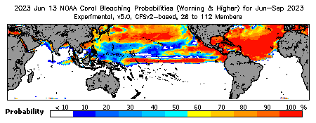 Current Bleaching Heat Stress Outlook Probability - Warning and higher