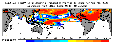 Current Bleaching Heat Stress Outlook Probability - Warning and higher