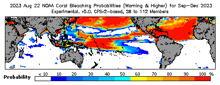 Current Bleaching Heat Stress Outlook Probability - Warning and higher