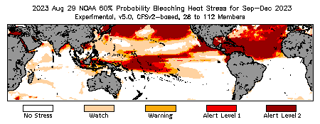 Bleaching Outlook - 60% probability