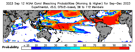 Current Bleaching Heat Stress Outlook Probability - Warning and higher