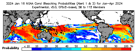 Current Bleaching Heat Stress Outlook Probability - Alert Levels 1 and 2