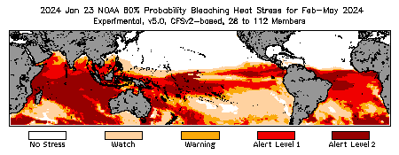 Bleaching Outlook - 60% probability