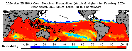 Current Bleaching Heat Stress Outlook Probability - Watch and higher