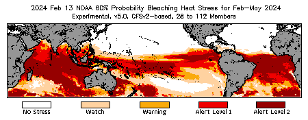 Bleaching Outlook - 60% probability