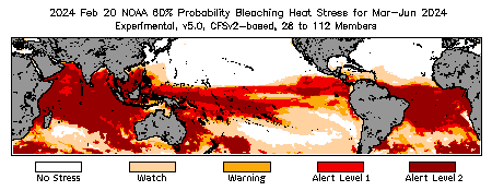 Bleaching Outlook - 60% probability