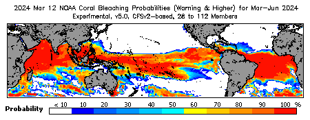 Current Bleaching Heat Stress Outlook Probability - Warning and higher