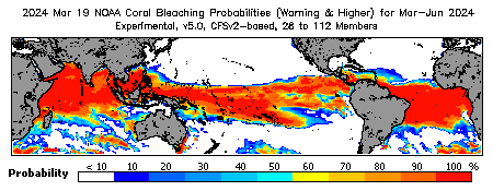 Current Bleaching Heat Stress Outlook Probability - Warning and higher