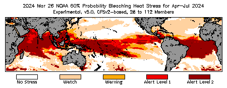 Bleaching Outlook - 60% probability