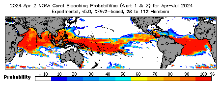 Current Bleaching Heat Stress Outlook Probability - Alert Levels 1 and 2