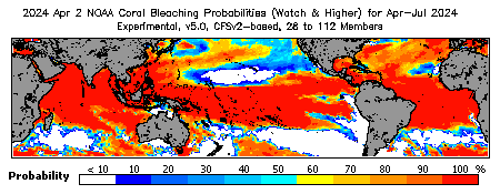 Current Bleaching Heat Stress Outlook Probability - Watch and higher