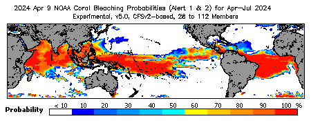Current Bleaching Heat Stress Outlook Probability - Alert Levels 1 and 2