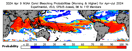 Current Bleaching Heat Stress Outlook Probability - Warning and higher